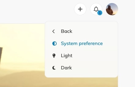 New theme preferences menu